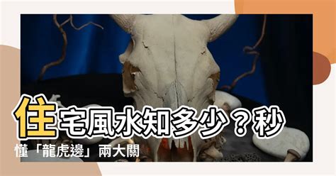 房子龍虎邊|【住宅龍虎邊】住宅風水知多少？秒懂「龍虎邊」兩大。